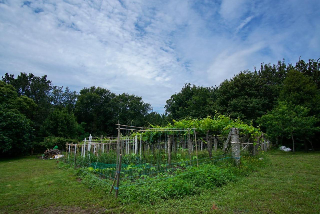 Almademencia Lägenhet Pontevedra Exteriör bild